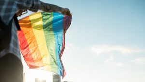 Rights in the time of conspiracies and fake news: disinformation against LGBTQ+ in the EU